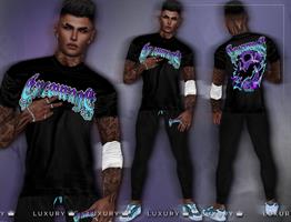 Изображение образа