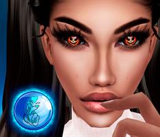 Изображение образа