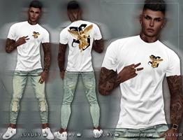 Изображение образа